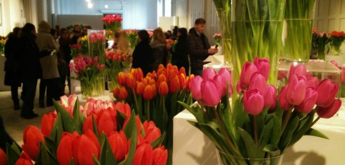 У Варшаві пройшла Велика виставка тюльпанів