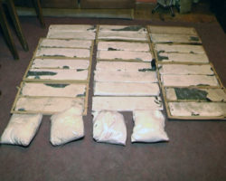 Вроцлав: дилери викидали наркотики з вікна готелю Вроцлав: дилери викидали наркотики з вікна готелю