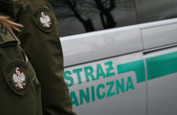 Затримано 15 громадян України і Грузії, що нелегально працювали на території Польщі