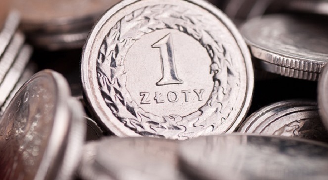 Польські підприємці не хочуть змінювати злотий на євро