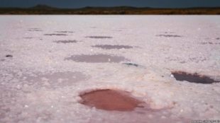 Обезвоживание – в политическом контексте