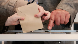 Держреєстр виборців: як знайти себе у списках і дізнатися свою дільницю