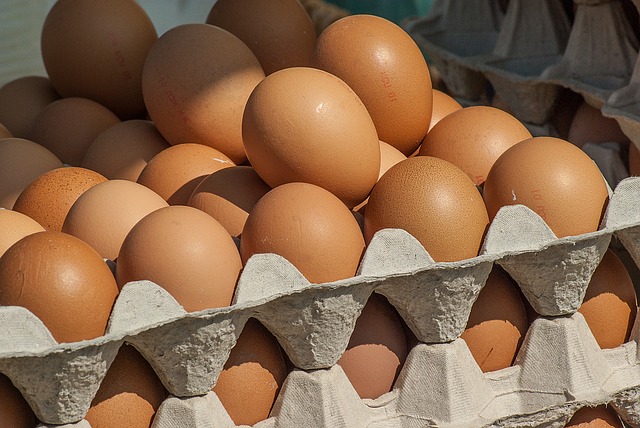 Польські виробники яєць побоюються українських інвестицій