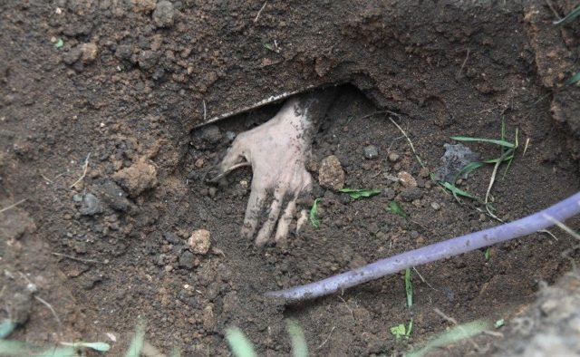Трагична смерть українця на Вавелі: чоловіка поховано живцем під землю