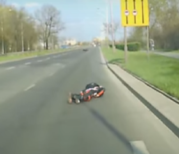 У Вроцлаві на мотоцикліста вискочив олень (відео)