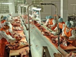 Як трудові мігранти годують україну та гальмують економіку