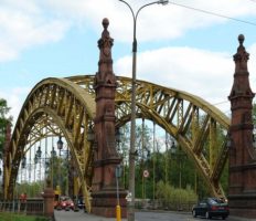 На вроцлавський міст впало дерево, зміни руху транспорту (відео)