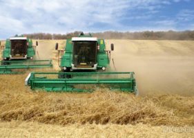 Трудова міграція б’є по українським аграріям