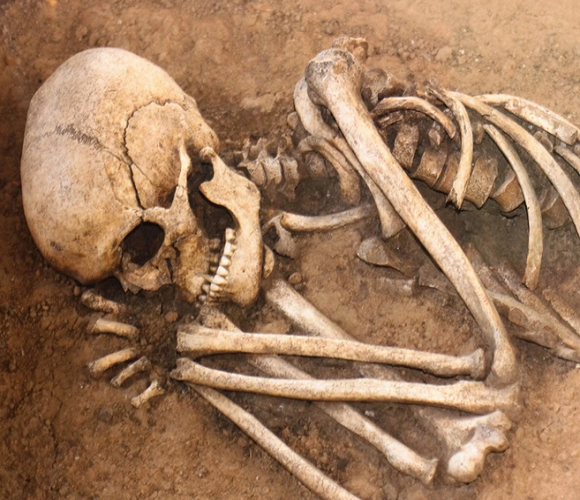 На вроцлавському кладовищі знайшли коробку з людськими останками