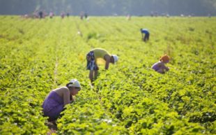 Про трудову міграцію