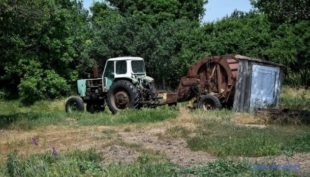 Сільське населення України за 10 років скоротилося на 16% - експерт