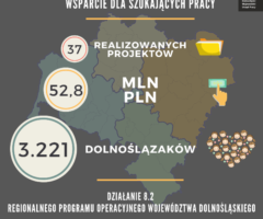 Близько 53 мільйонів злотих на підтримку шукачів роботи