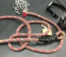 Покарав злочинця: у Глогуві чоловіка вели містом на ланцюгу