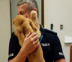 В Закопаному лісничий скоїв наклеп на українця