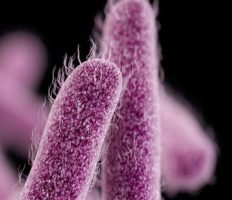 В лікарні на Боровській заборонили відвідини: тут виявили небезпечну бактерію