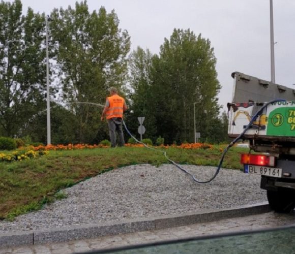 Абсурд в Легниці: міська служба підливала газон… під час дощу