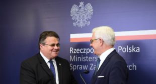 Вільнюс погодився на використання польських підручників у польських школах Литви