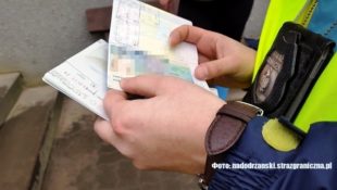 Прикордонники у Польщі виявили 21 незаконно працюючого іноземця. Покарають й роботодавців