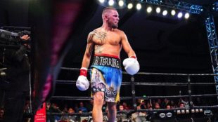 Двоє українських боксерів отримали шанс битися за чемпіонські пояси