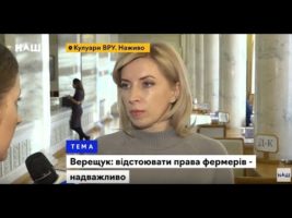 В питанні ринку землі поспіх неприпустимий