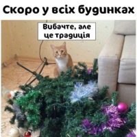 «Ітогі падвєдьом» (Л. Подерев’янській)