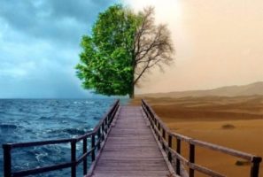 Кліматична конференція в Мадриді. Країни представляють свої позиції