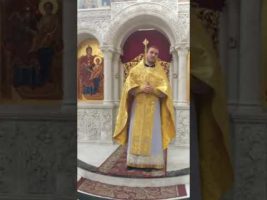 Більше, більше, більше... Навіщо?