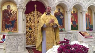 Чому ревуть воли, як ясла повні?