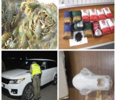 Підбірка найдивніших контрабандних товарів, які вилучили на польському кордоні у 2019 році (фото)