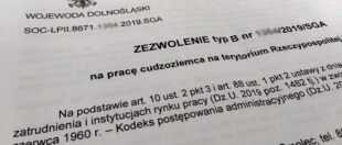 Автоматичне продовження віз та дозволів на роботу українцям – фейк чи правда? Автоматичне продовження віз та дозволів на роботу українцям – фейк чи правда?