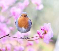 Цього тижня у Вроцлаві має бути справжня весна: синоптики обіцяють навіть 16°C!