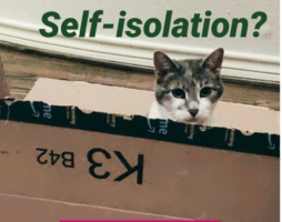 А шо як згодом виявиться, що коронавірусна істерія була просто наймасштабнішою інформаційною спецоперацією?