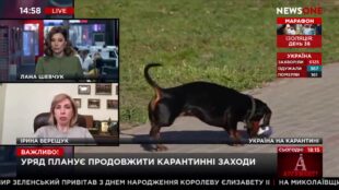 Про антикорупційний суд