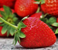 В Польщі розпочався сезон полуниці: які ціни?