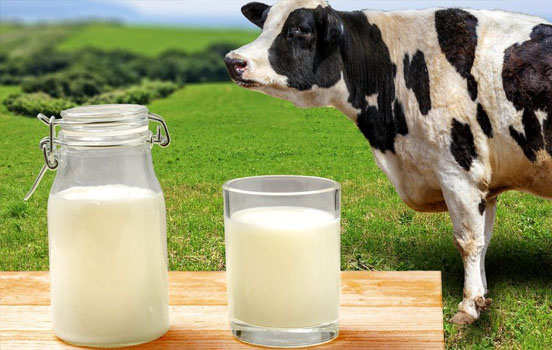 Українське молоко дорожче: порівняли ціни на продукти в Україні та Польщі