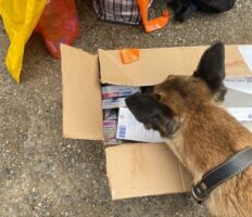 На польсько-українському кордоні затримали українця, який віз в Україну коробку трамадолу