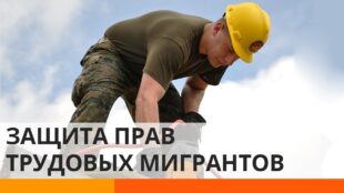 Трудоустройство за рубежом: как государство защитит права трудовых мигрантов?