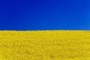 Друзі, від щирого серця вітаю вас з Днем Державного Прапора!