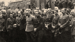 Призабутий союзник. Варшавська битва і польсько-українське братерство зброї Призабутий союзник. Варшавська битва і польсько-українське братерство зброї