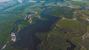 В автобусах Варшави показуватимуть відео про Україну