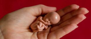 Заборона абортів в Польщі може збільшити попит на цю процедуру в Україні