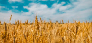 Jak otworzyliśmy bieżące konto bankowe dla osoby prawnej nierezydenta według nowych wymagań monitoringu finansowego Jak otworzyliśmy bieżące konto bankowe dla osoby prawnej nierezydenta według nowych wymagań monitoringu finansowego