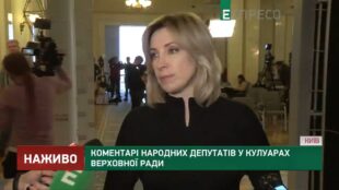 У мене язик не повернеться сказати, що у депутатів низькі зарплати