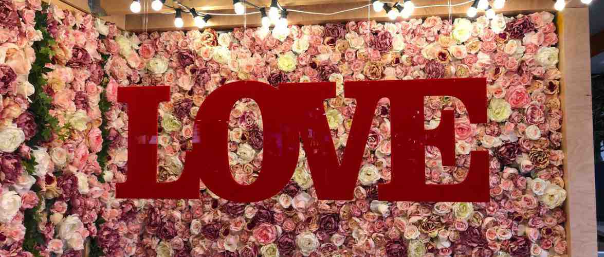 Як у Вроцлаві святкуватимуть День Закоханих?