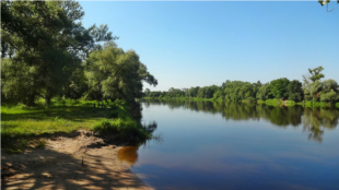 Стартує всепольське прибирання річок Стартує всепольське прибирання річок