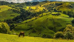 Дестинації Львівщини презентували польським туроператорам Дестинації Львівщини презентували польським туроператорам