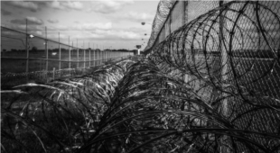 Світ побачив приголомшливий звіт про тортури на Донбасі