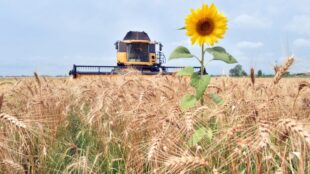 В Украине изменились правила госрегистрации прав на землю