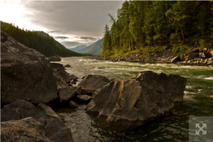 Українські та польські гірські рятівники проводять спільні вишколи