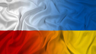 Zapraszamy do udziału w webinarium na temat "DIIA CITY - specjalny reżim podatkowy dla firm IT na Ukrainie "